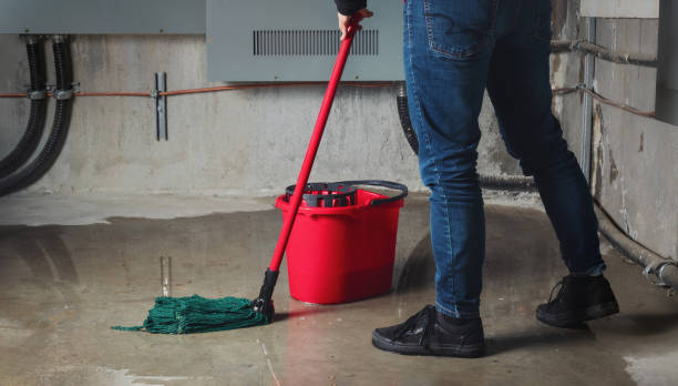 Best Local water damage restoration  in Chenango Bridge, NY