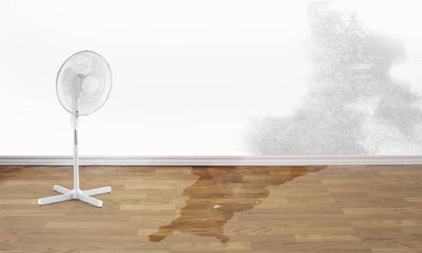 Best Basement water damage restoration  in Chenango Bridge, NY