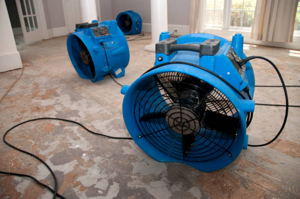 Best Residential water damage restoration  in Chenango Bridge, NY