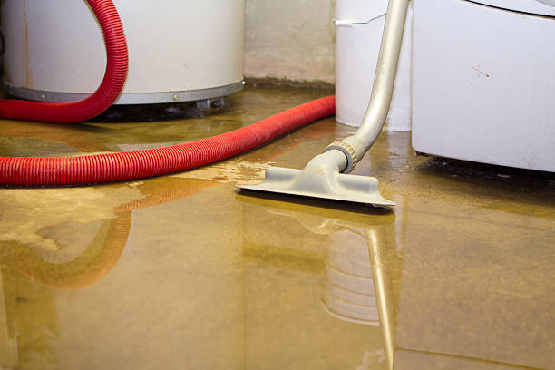 Best Ceiling water damage repair  in Chenango Bridge, NY