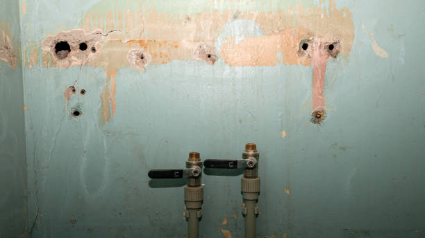 Best Water damage restoration mold remediation  in Chenango Bridge, NY
