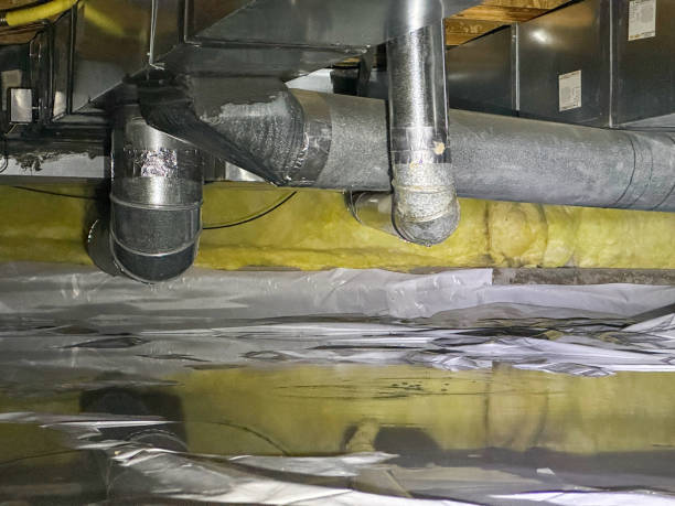 Best Water damage contractors near me  in Chenango Bridge, NY