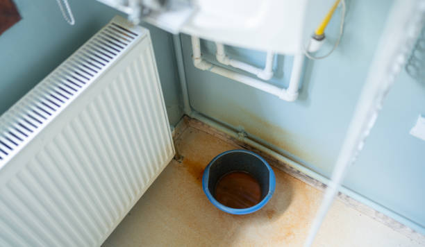 Best Sewage cleanup and water damage restoration  in Chenango Bridge, NY