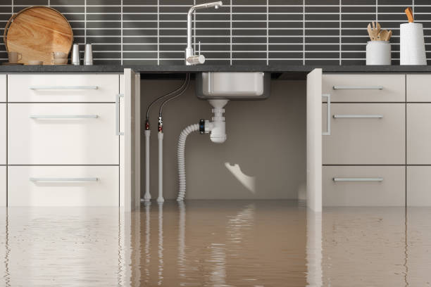 Best Water damage contractors near me  in Chenango Bridge, NY